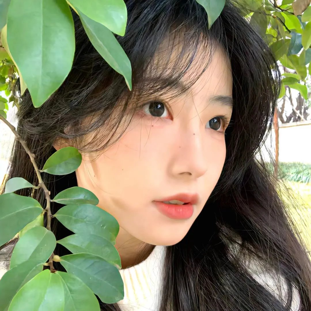 地窖怪客